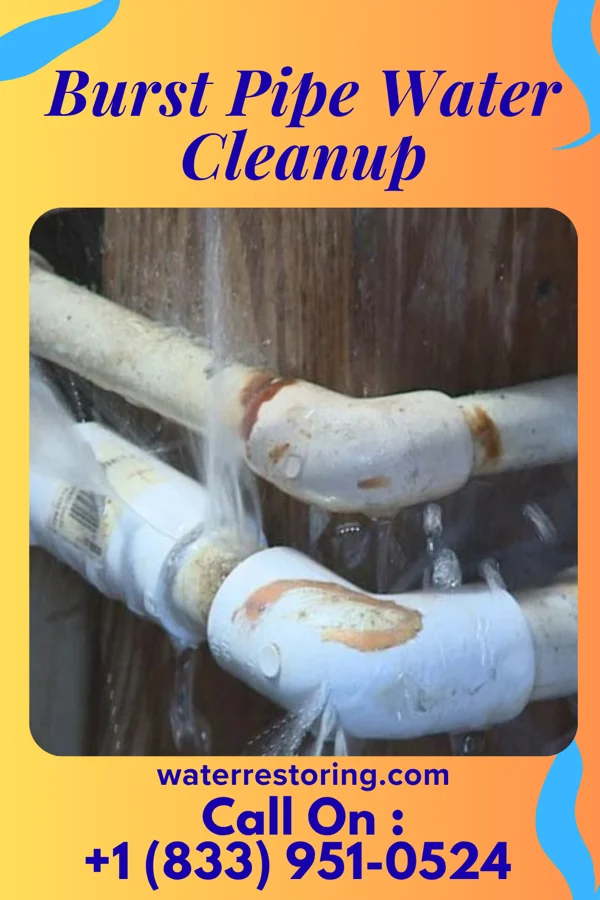 Burst Pipe Water Cleanup in Albany, OH