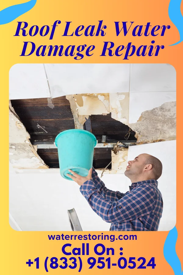 Roof Leak Water Damage Repair in Albany, OH