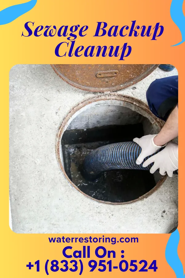 Sewage Backup Cleanup in Albany, OH
