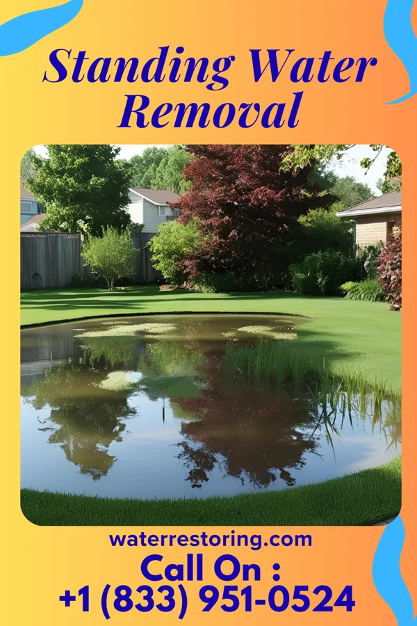 Standing Water Removal in Albany, OH